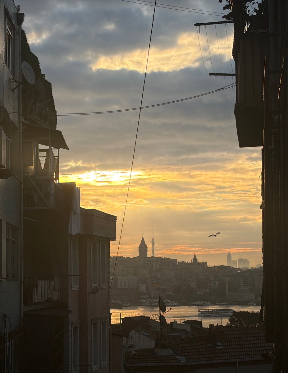 shevy167674's tweet photo. Bugün biraz şov yaptı. https://t.co/nTubXqtJat