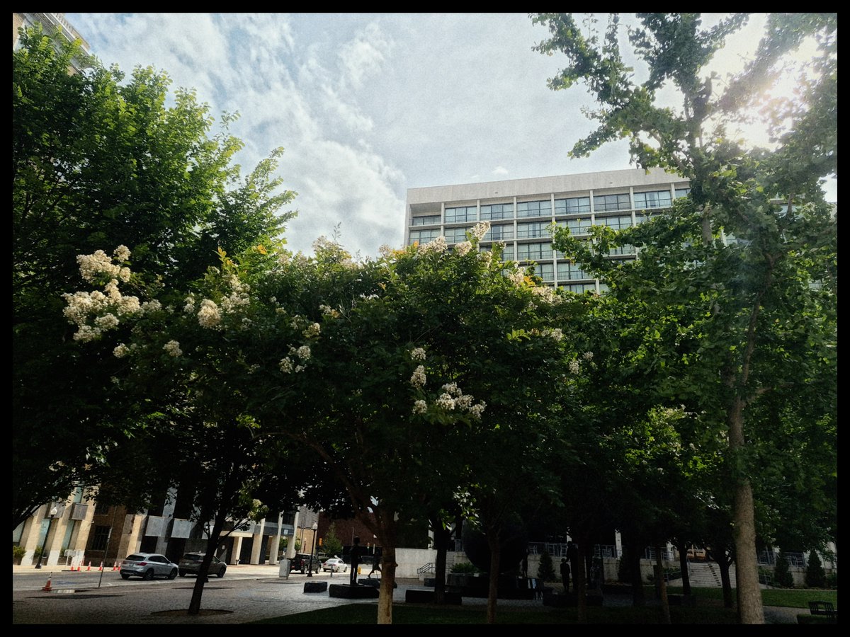 Idle_pht's tweet photo. #photography #photo #nostalgic #urban #nature https://t.co/9ZRB44cEuU
