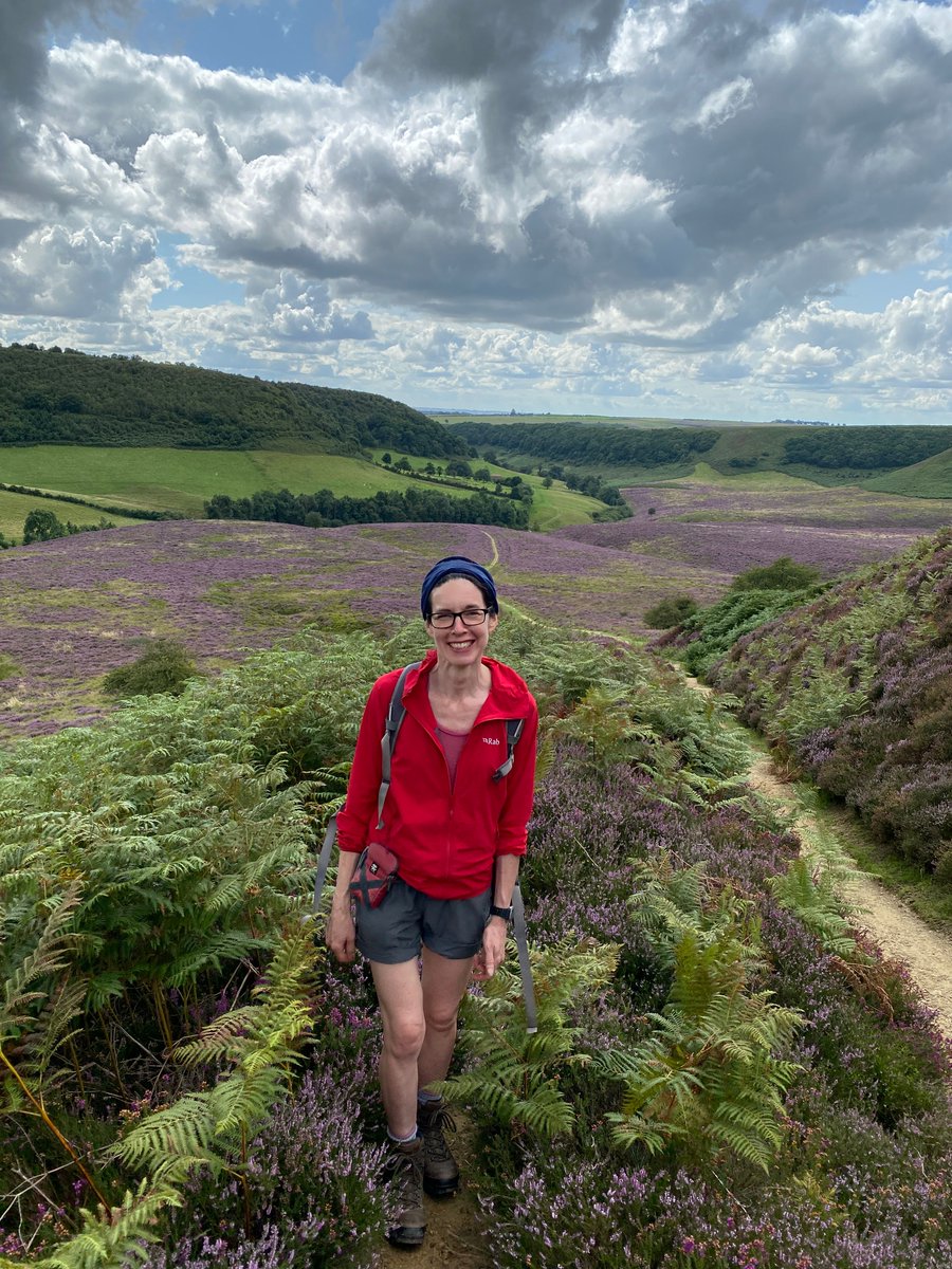 Design_York's tweet photo. On Sunday I’m hoping to go walking in the #NorthYorkMoors. Am I too late for a sea of purple heather? 
This linocut print was inspired by a favourite walk at the Hole of Horcum.

#Linocut #YorkshireArt https://t.co/m24OLHbUO0