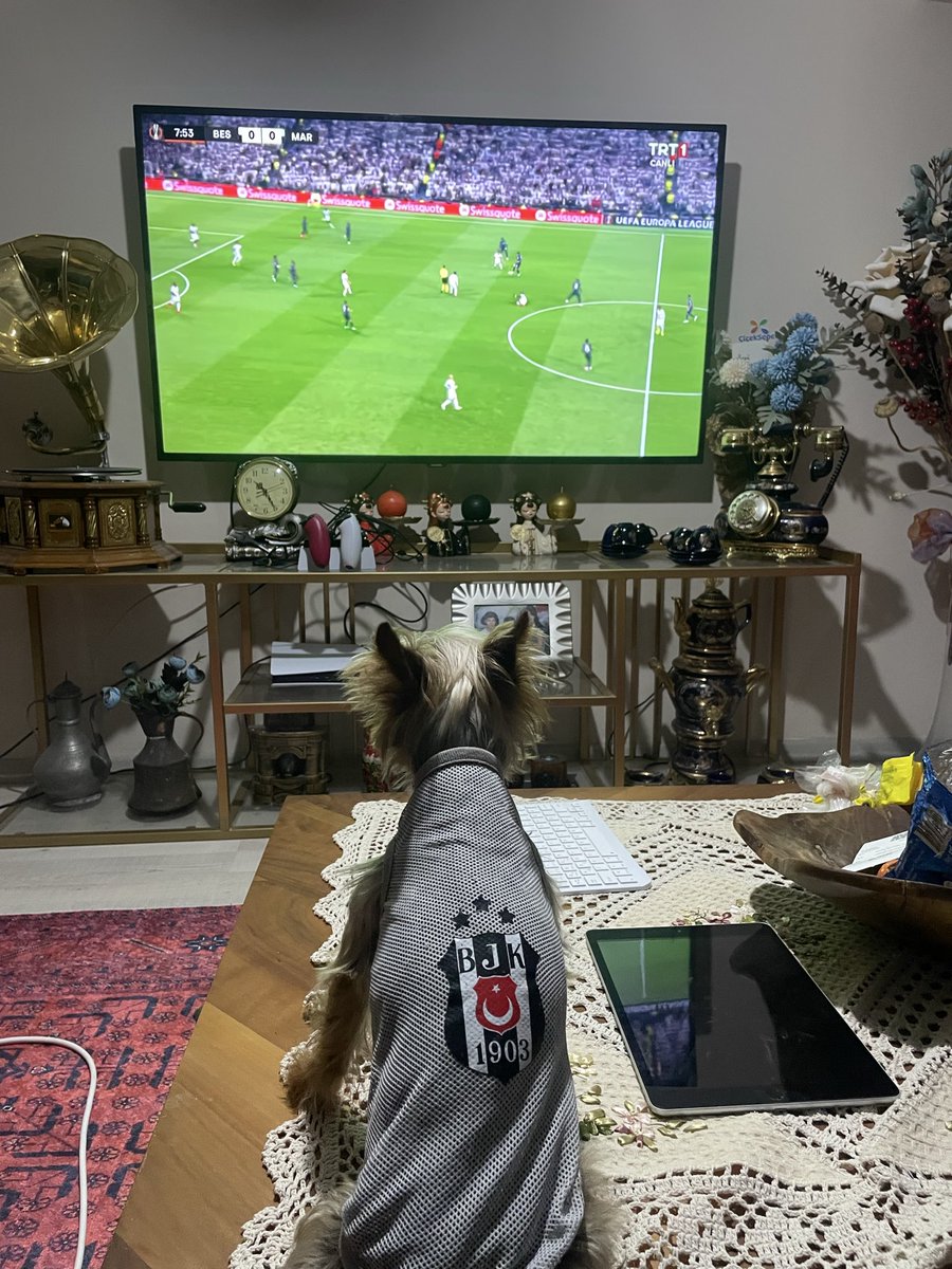 kirkel21's tweet photo. sadece beşiktaş https://t.co/mYj8gdakMD