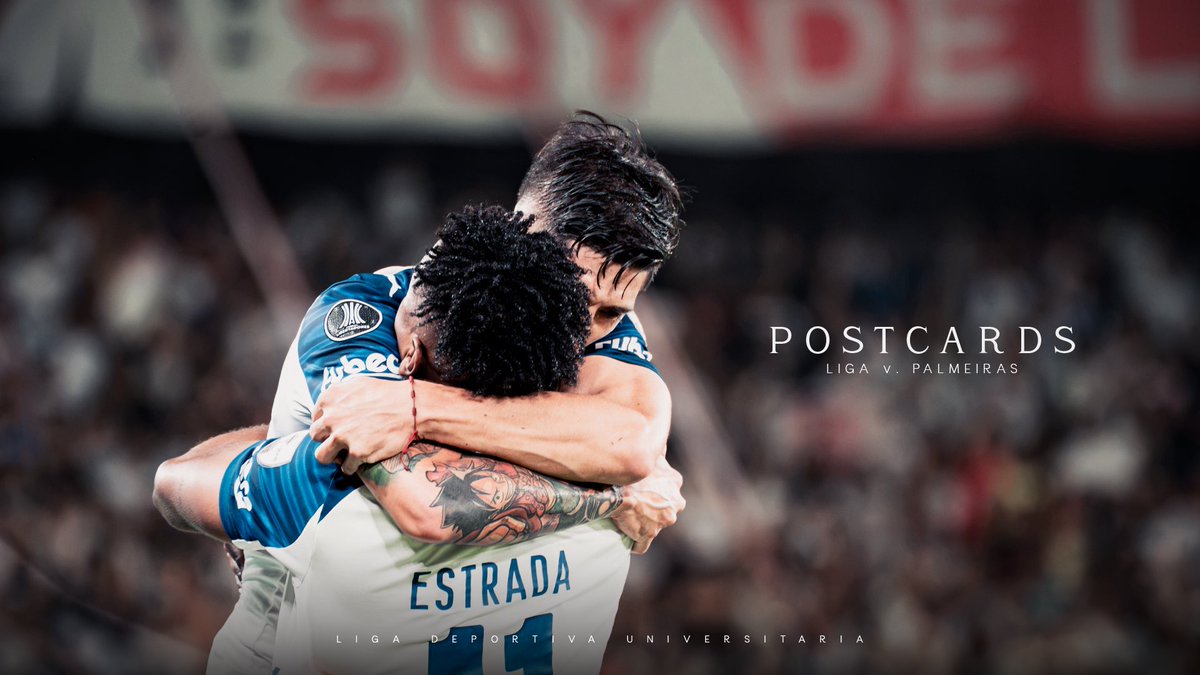 LDU_Oficial's tweet photo. 'Nunca te voy a dejar de querer' 🏆 https://t.co/d0UeJQ3zZ3