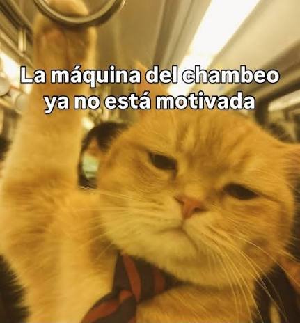 Xankhz's tweet photo. Pedí de vacaciones hoy y mañana aprovechando el día festivo y el fin de semana, pero no está saliendo como el speraba :( no me dejan de llamar y solicitar cosas. Ya debería renunciar https://t.co/L6L8PYl3HS
