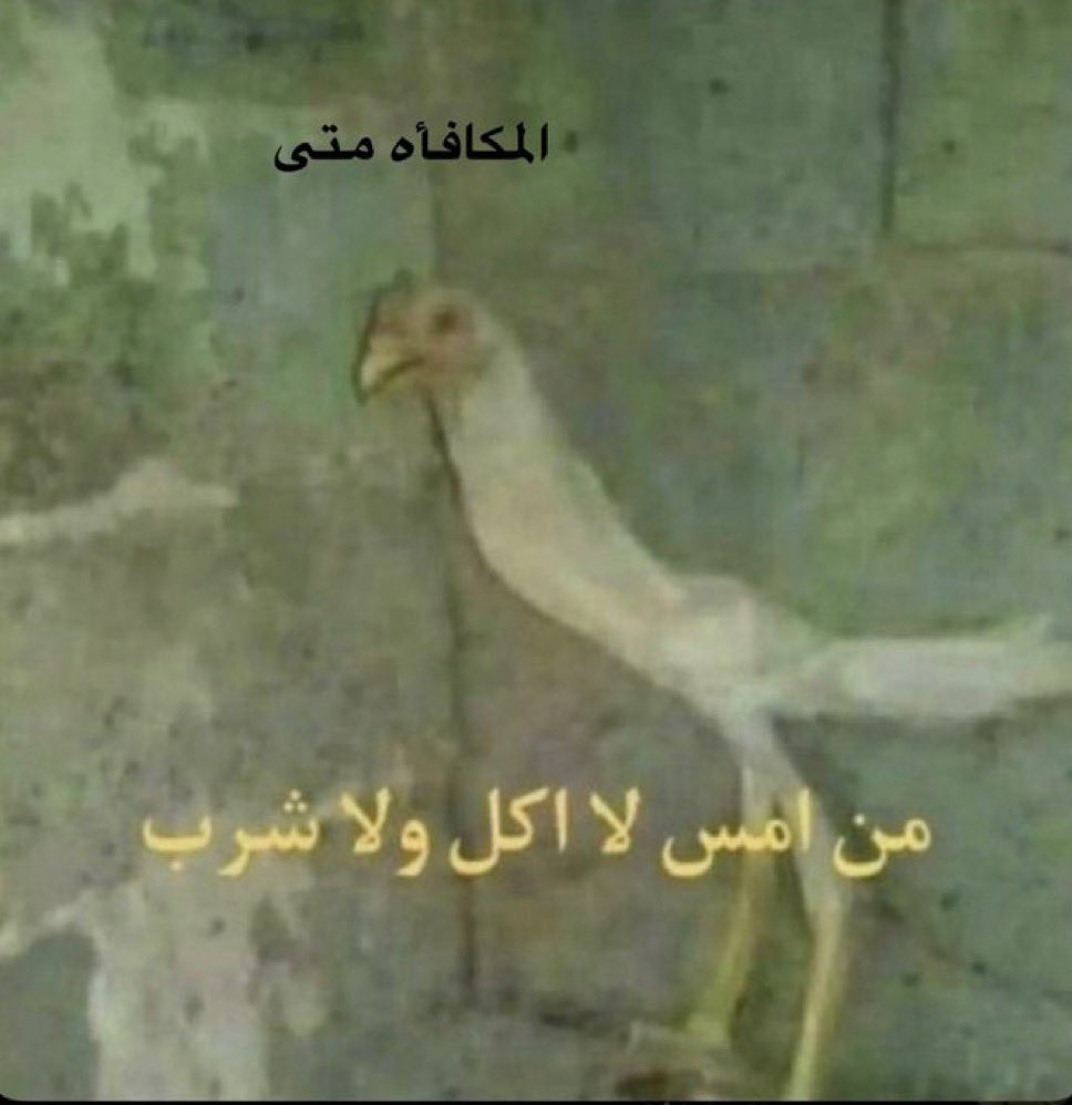 dauzkk's tweet photo. ١٧ سبتمبر https://t.co/DVJD3jrWJh