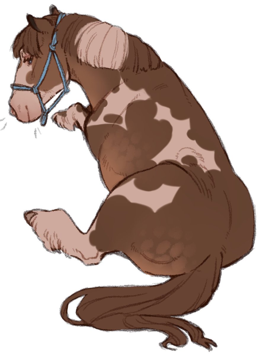 Milo_selfesteem's tweet photo. teddy cob stuff https://t.co/yfzCUYhg87