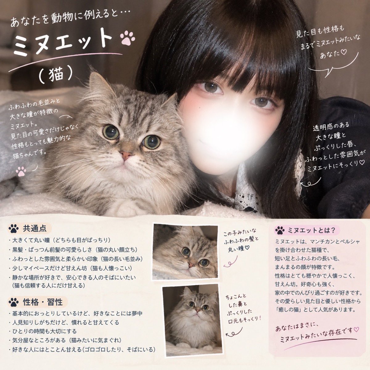 NKOK_15's tweet photo. 流行ってる何の動物に似てるか診断やったら飼ってる猫の種類だった奇跡‼️
仕組まれてる⁉️ https://t.co/gYpUZuMnnb