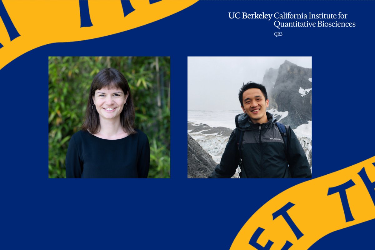 QB3Berkeley's tweet photo. .@UCBerkeley researchers developed ProteinGuide, an AI strategy that steers protein generative models toward specific properties using experimental data—without retraining the underlying models. 

Read more about this research in QB3-Berkeley faculty labs: https://t.co/ySi23p54bk https://t.co/f5MOimjiV4