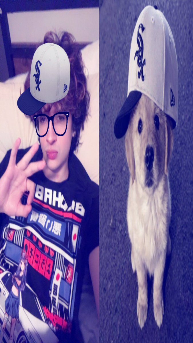 h7ruki's tweet photo. the dog doesn’t even havw glases on? https://t.co/7t2BmvYlys