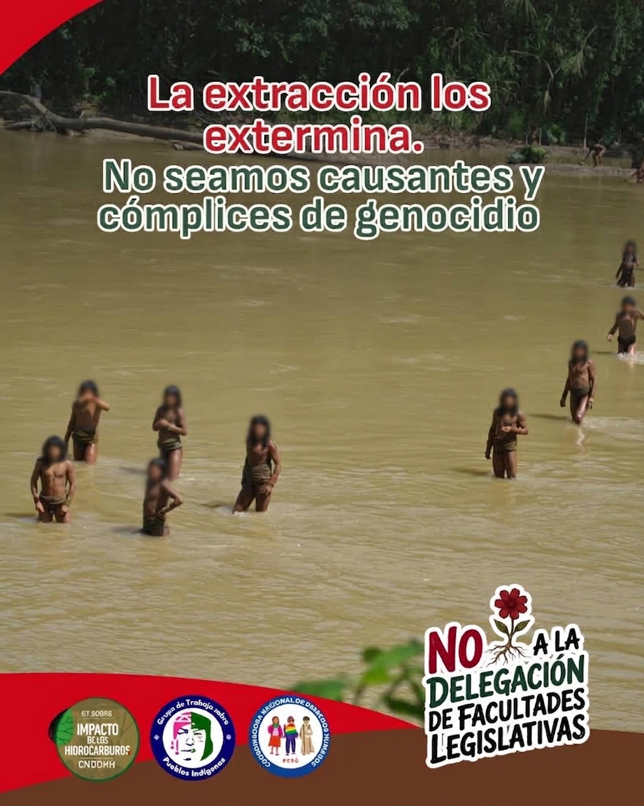 cnddhh's tweet photo. 🚨 ¡NO A LA DELEGACIÓN DE FACULTADES LEGISLATIVAS!

Permitir actividades extractivas en territorios de Pueblos Indígenas en Aislamiento y Contacto Inicial (PIACI) no es progreso: es empujarlos al exterminio. Un simple contagio o la invasión de sus bosques puede desaparecerlos por completo.

No seamos causantes ni cómplices de un genocidio en nuestra Amazonía. El Estado debe garantizar la intangibilidad de sus reservas y el respeto irrestricto al principio de no contacto.

📢 ¡Las vidas de los pueblos en aislamiento no se negocian! Comparte y alza la voz.

#ProtejanALosPIACI #NoALaDelegaciónDeFacultades #DefensaAmazónica #AmazoníaViva #DerechosHumanos