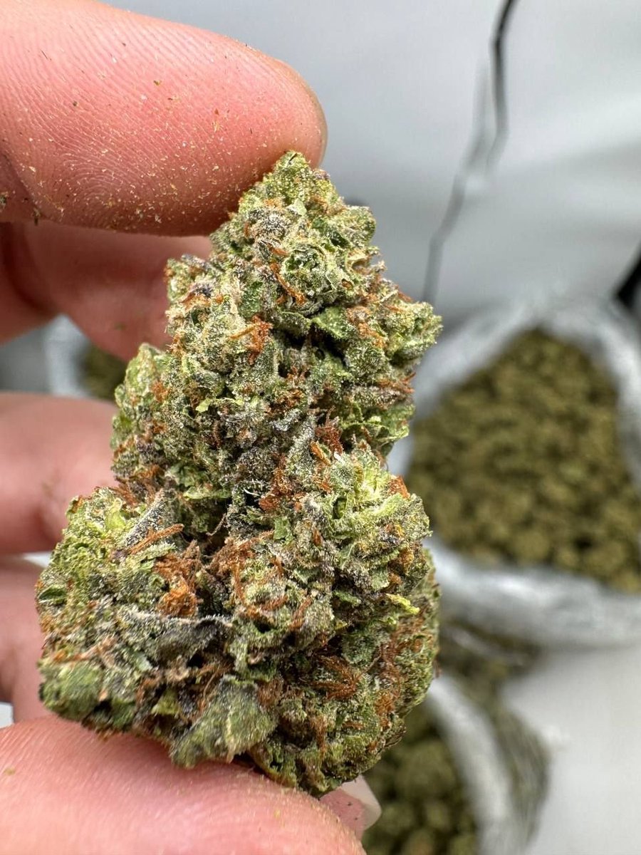 Wizkhalifakushs's tweet photo. Fire 🔥 a** 🍃 cannabis strains 
Website: https://t.co/IHLyfjdowB

#marijuana #weed #cannabis #buds #wax #eddibles #mushrooms #shrooms #dabs #pills #thc https://t.co/nhwwHCs3Cw
