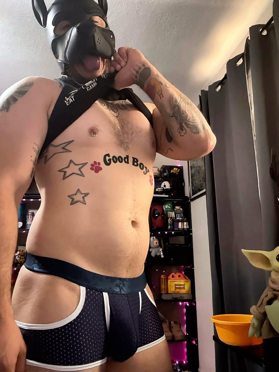 PupDex0's tweet photo. ESP: Todo lo que buscas está a un clic en la descripción de mi perfil. ¡Woof woof! 🧁⚡️
🇺🇸 ENG: Everything you're looking for is just one click away in my bio. Woof woof! 🧁⚡️

@tu_osito_fav (Gracias por el FOLLOW!) 🫰🏻

#puppyplaycommunity🏳️‍🌈 #lgbt #puppypride🏳️‍🌈 #goodboy🐶 https://t.co/JwzMN0neCx