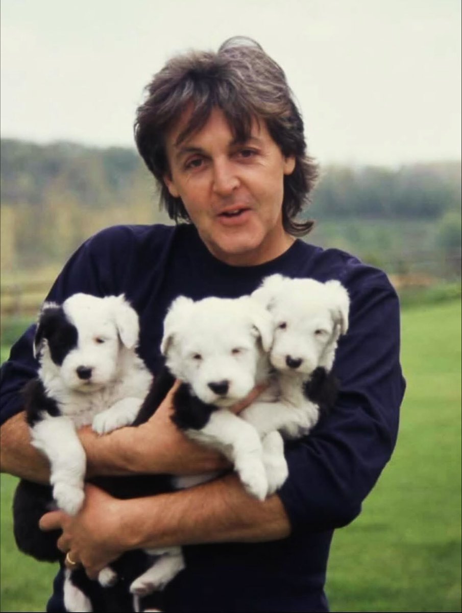 themeparktism's tweet photo. paul with animals is so healing https://t.co/pTn5yZHNVc
