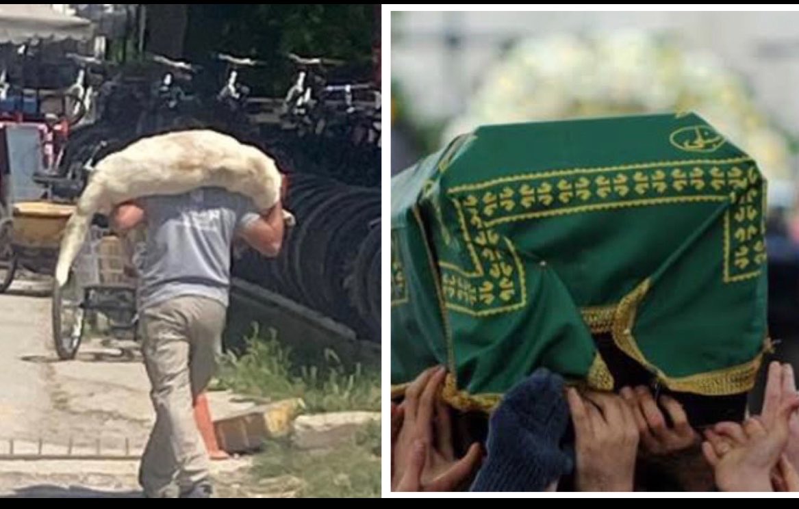 Emrahmixx's tweet photo. Hiç Sanmayın Ki Ölümsüzsünüz…
Bir Gün Sizide Omuzlara Alacaklar,
Dünyada İnsanlar Hakkını Helal Etse Bile,
Ahirette Katlettiğiniz  Milyonlarca Can Sizden Hesap Soracaklar❗️
YARADAN’ın Hesabı Ağır Olacak🙏 
#SokakHayvanlarıSahipsizDeğildir #canlarınhesabısorulsun https://t.co/V9P3dU556f