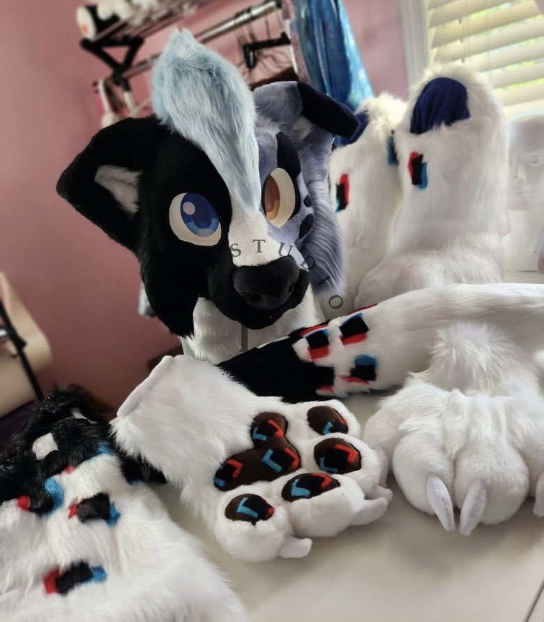 Furstudioo6's tweet photo. Finished full partial commission!

🐾 say hello to Glitch the border collie!

This guy has a lot of features! Head made on a nuke creations base with sublimated eyes with LEDs, a head fan, 2 sets of eyelids, 2 tongues, wagger tail, fully lined paws, outdoor digi feet, and lined armesleeves!

The asymmetry and glitch pattern was very time consuming but I love how everything turned out 🥰

Handpaws are kloofsuits pattern and feet are spiltgrapesodas new pattern!
#fursuit #fullpartial #fursona #commissionopen #glitchy #furryfandom
