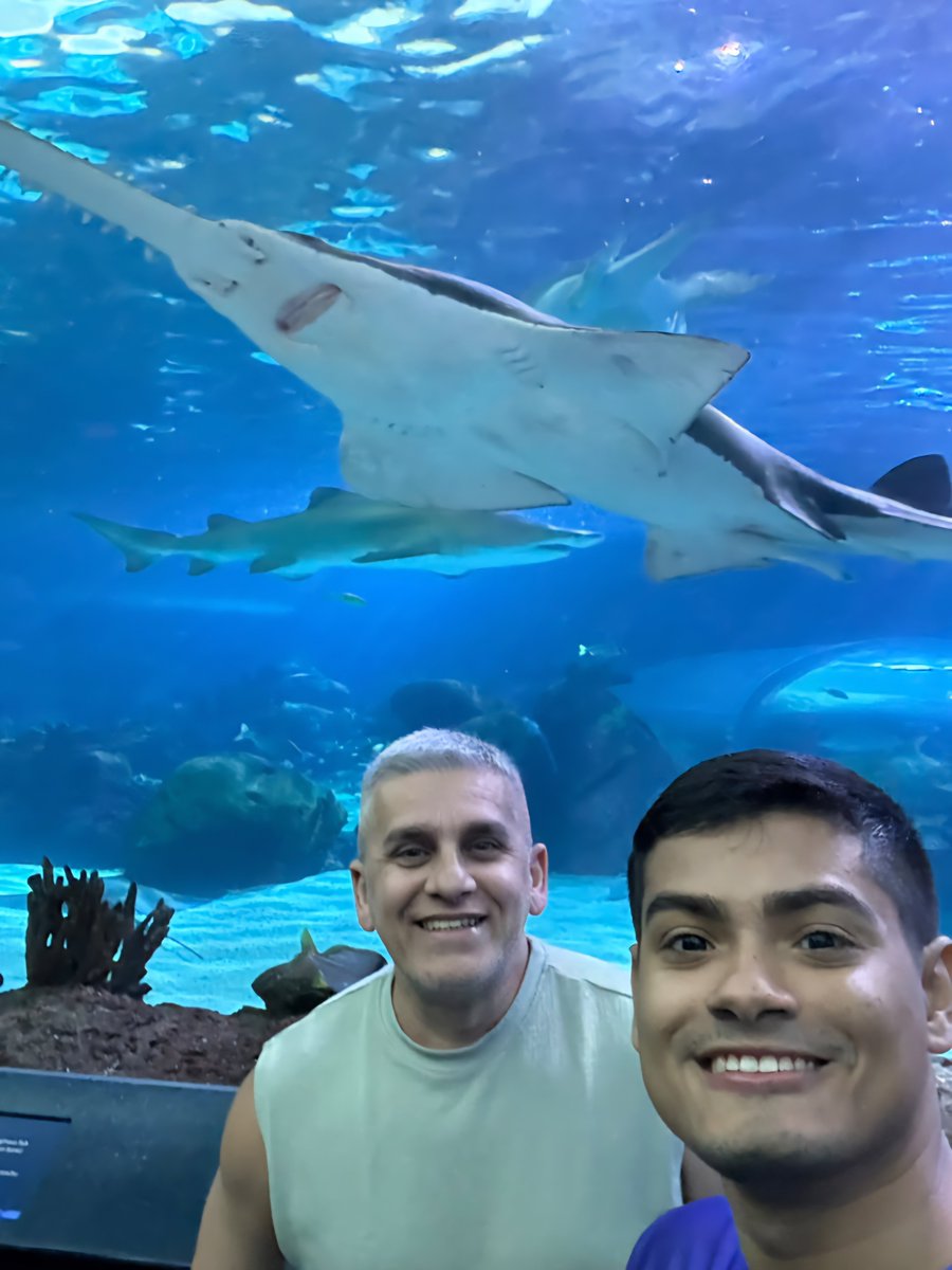 ChristianMaltez's tweet photo. Ripley's Aquarium of Canadá: Abriga mais de 20 mil animais aquáticos e cerca de 450 espécies diferentes, incluindo tubarões, arraias, tartarugas marinhas e águas-vivas. https://t.co/k4wVUL0Cv9
