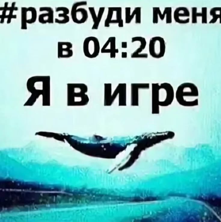 everybodyLDies's tweet photo. я идиотка я больше не выйду из дома https://t.co/xGyhicQWjn