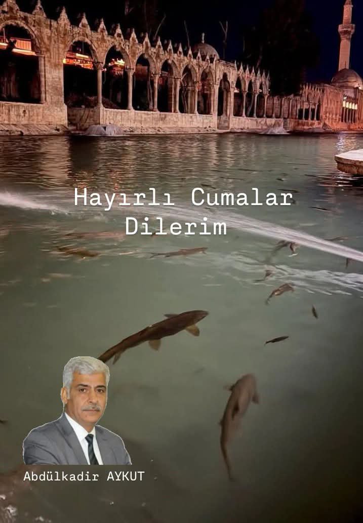 AYKUTAbdulkadr's tweet photo. https://t.co/FbPwenWZN7
