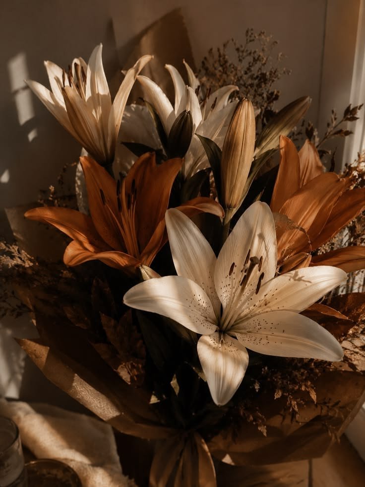 CAFEWOODD's tweet photo. Combo :: Boho Brown https://t.co/CAawRBwKxs