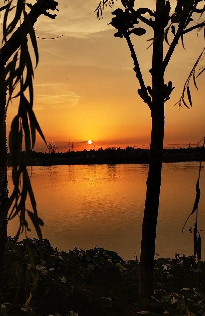 Yongjun0425's tweet photo. Just finished a 2-hour evening jog along the riverside—cool breeze, golden sunset, and zero crowds. Perfect way to wind down after work! https://t.co/1C9fnQrNPu