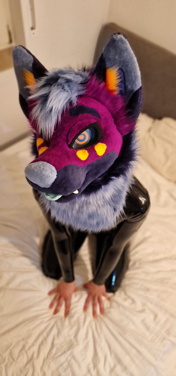 BlazeAfterBark's tweet photo. 🖤😵‍💫 https://t.co/oafRj8WwxB