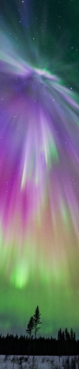purelivn's tweet photo. northern lights https://t.co/xfQt0EyLFA