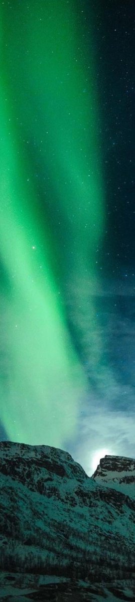 purelivn's tweet photo. northern lights https://t.co/xfQt0EyLFA