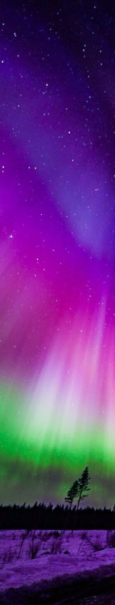 purelivn's tweet photo. northern lights https://t.co/xfQt0EyLFA