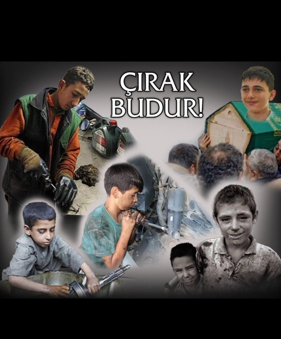 papatya_ema tweet picture