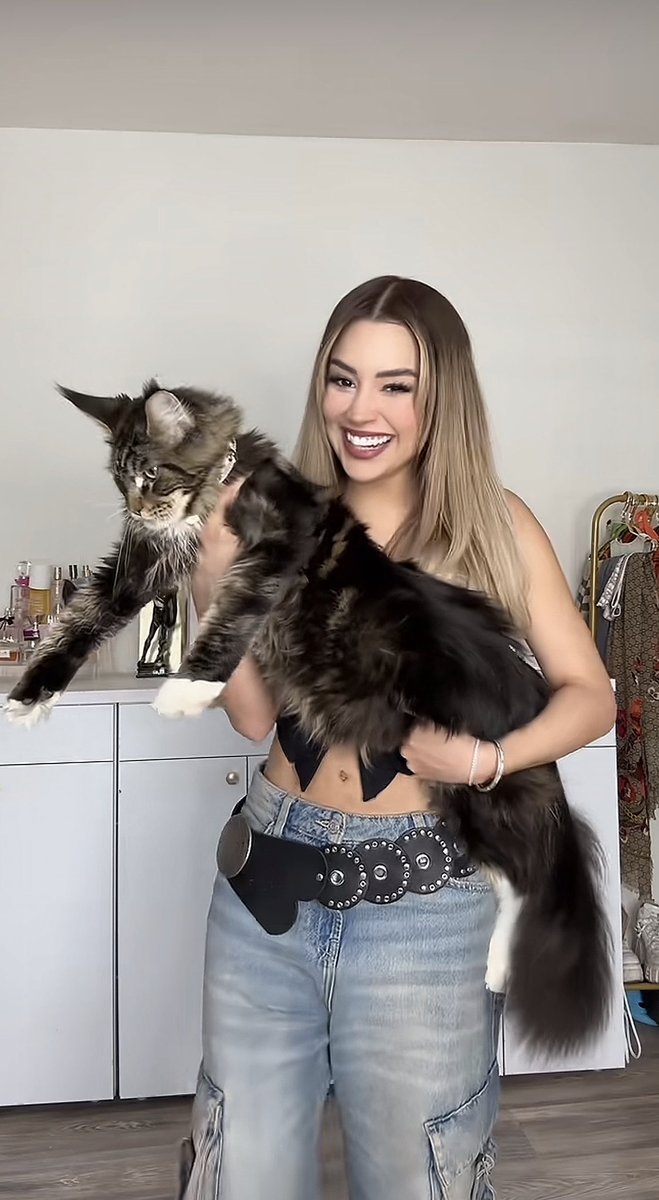 selfmadebeeatch's tweet photo. Brianda platicándoles a Gema y Ese de su “gatito” JAJAJA weeeey está precioso 
#LaCasaDeLosFamososMéxico 
#LaCasaDeLosFamososMx https://t.co/En4y4KI7Ab