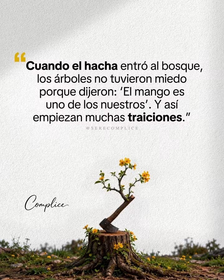 tered_88's tweet photo. 🪓 Las traiciones más dolorosas rara vez vienen de un desconocido. Suelen llegar de quien conocía tus puntos débiles, tenía tu confianza y jamás imaginaste que usaría esa cercanía para lastimarte. https://t.co/oiqTtNu3Id