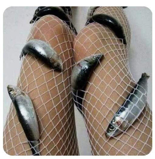 cataboliccorvid's tweet photo. I keep seeing this photo on pinterest and it always makes me roll my eyes, seriously what are you doing https://t.co/n68VgGnC38
