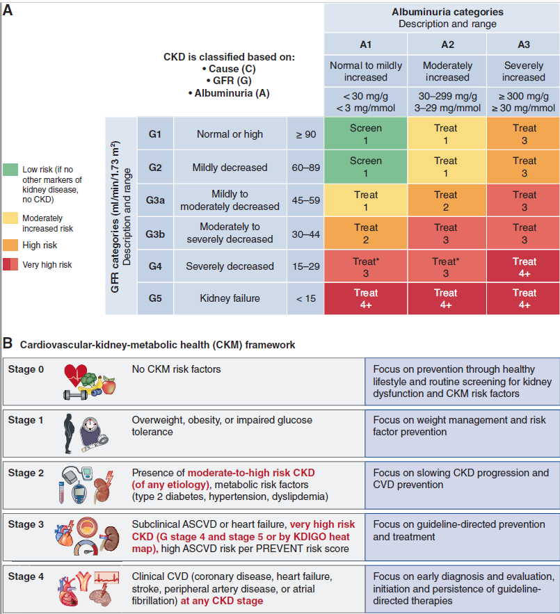 asnpublications's tweet photo. The latest ASN Kidney Health Guidance on the Cardiovascular-Kidney-Metabolic Syndrome, in #ASNJASN, addresses diagnosis and treatment of the CKM syndrome most relevant to the nephrology team and covers issues of special consideration for patients with kidney disease.  https://t.co/TeWsCfAqxj