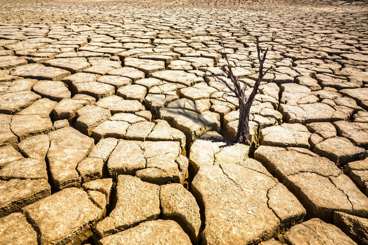 hannahmitc6tls's tweet photo. Gunsan’s cracked earth. Even this barren, parched land will one day have its true value recognized. https://t.co/K2o3ijnZza