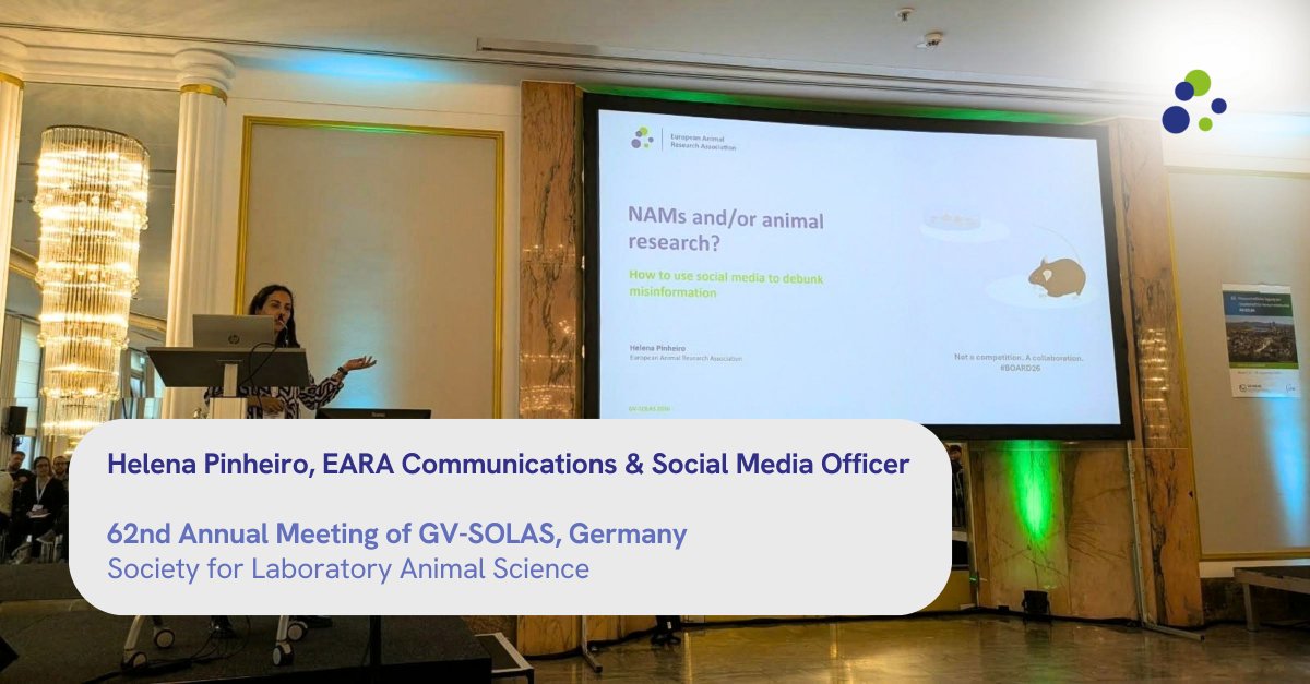 The_EARA's tweet photo. #NAMs and/or #AnimalResearch? How to use #SocialMedia to debunk #misinformation.
We went to the 62nd GV-SOLAS Annual Meeting (16-18 September, Bonn), where Helena Pinheiro, EARA Communications & Social Media Officer, talked about tackling #misinformation on #AnimalResearch and #NAMs online, and how #BOARD26 helped the #German #research community push back.
#SciComm #Misinformation