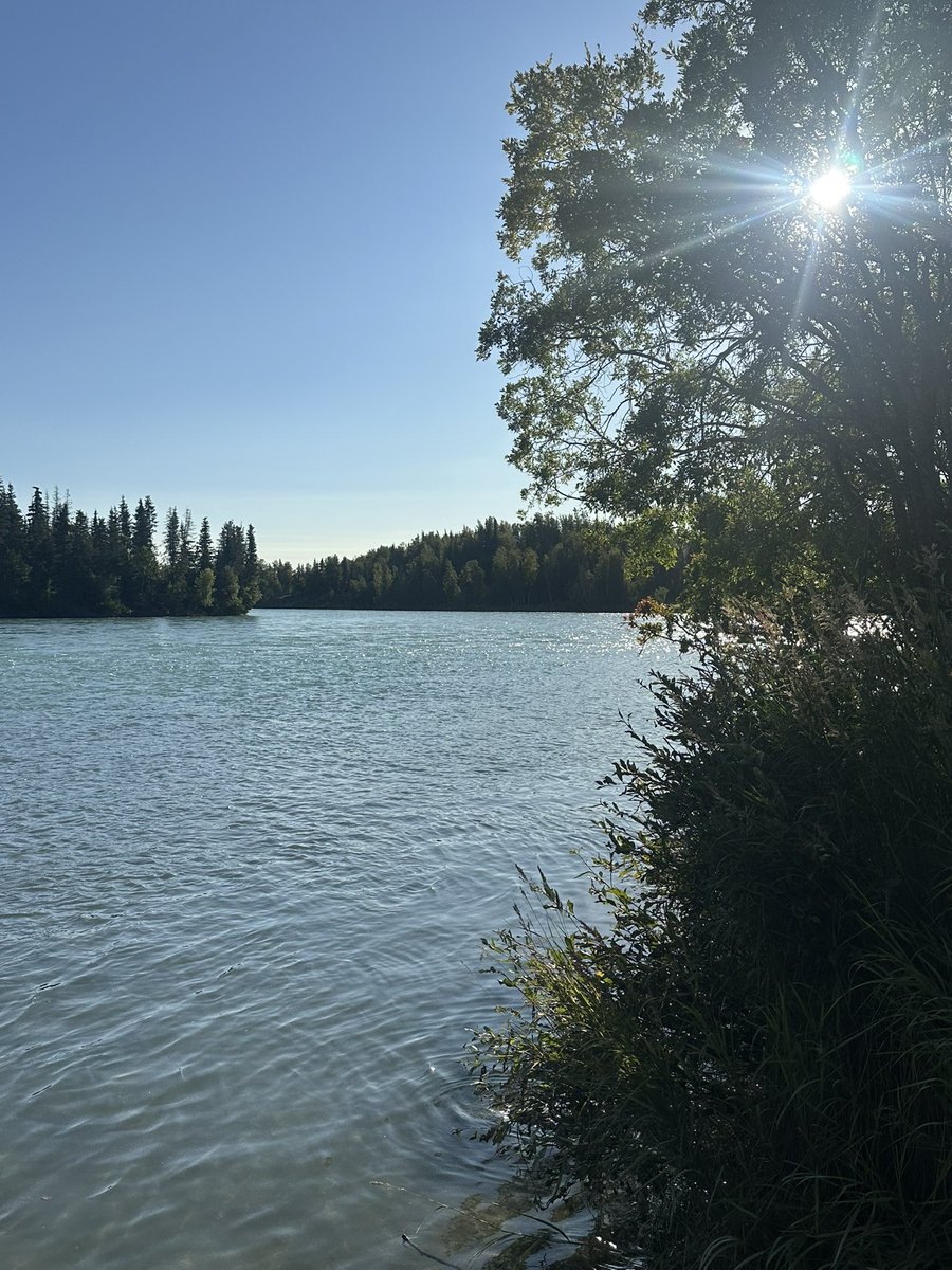 iKingoftheRiver's tweet photo. Fishing in Alaska is absolutely breath of fresh air! 

If your looking for an unforgettable getaway with great guides give us a call 907-279-3474 

#fishingtrips #kenaipeninsula #fishalaska  #kingoftheriver #fishforyou #beautifulviews #catchdaily https://t.co/kx4qnpsHH2