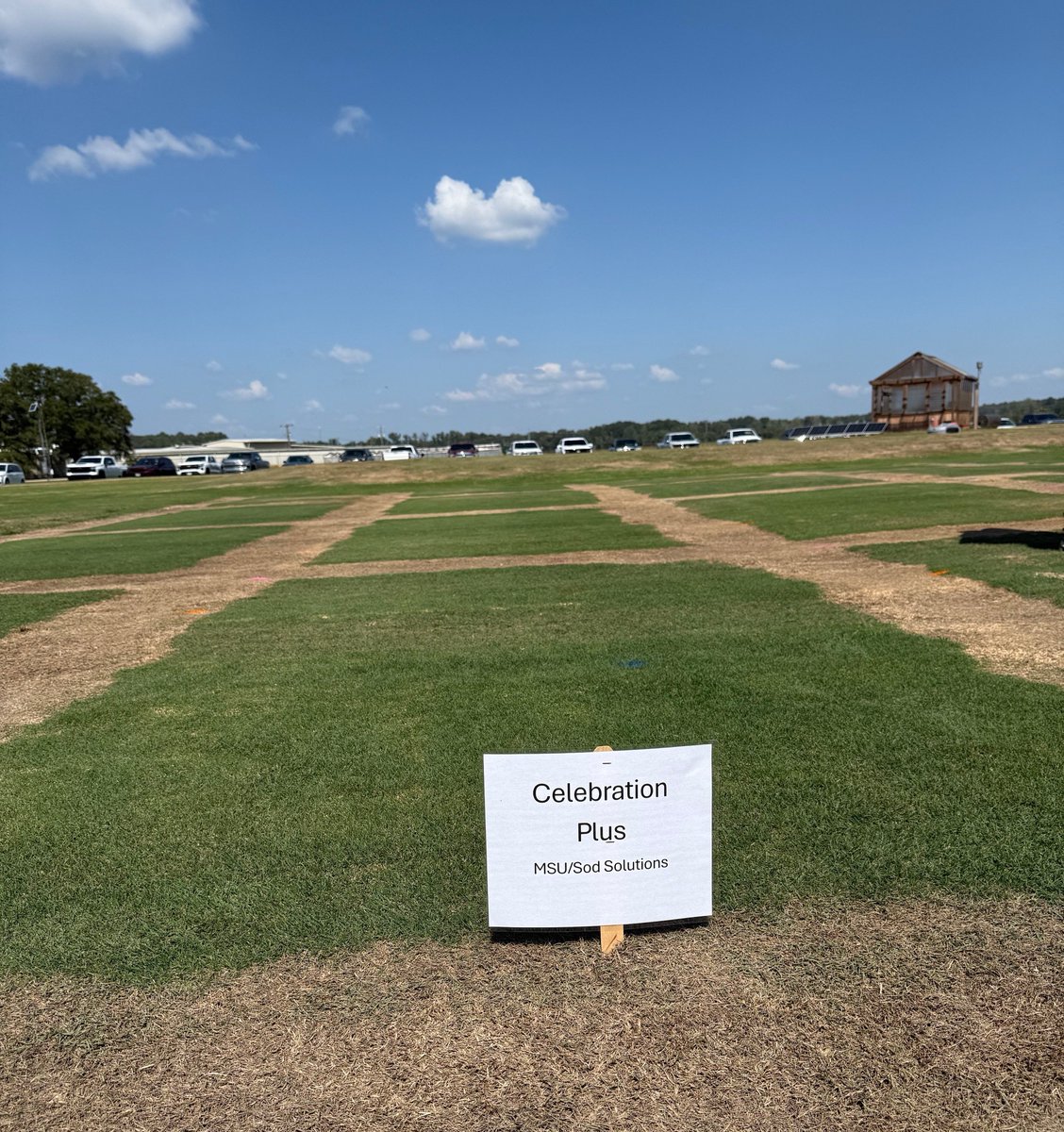 MSUextPlantLab's tweet photo. Another fabulous field day hosted by Dr. Jay McCurdy and the turf research team! Had a great time meeting with clients and catching up with our retired turf pathologist, Dr. Maria Tomaso-Peterson, and Mr. Wayne Philly, turf breeder extraordinaire!  #MSUext @MSTurfgrass https://t.co/M6iT7C9ImW