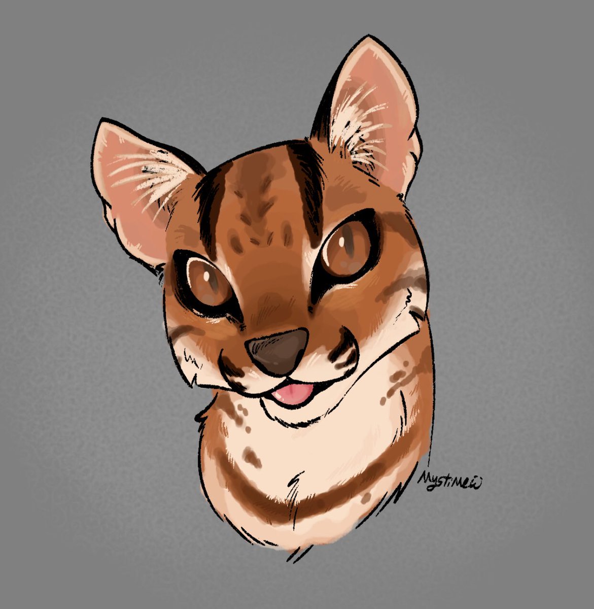 MystiMew's tweet photo. NEW CAT DROPPED https://t.co/NoMCRltN8b