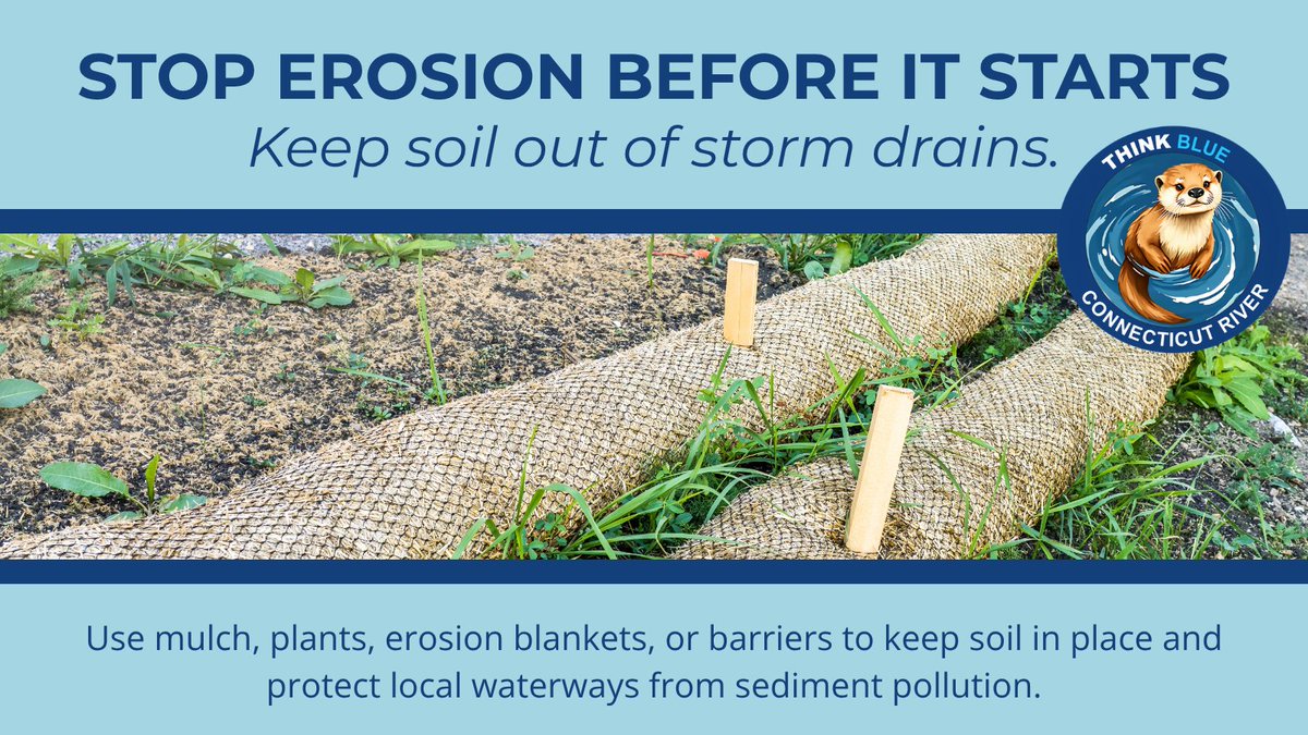 ThinkBlueCTR's tweet photo. Bare or disturbed soil can quickly become polluted runoff during a rainstorm. Use mulch, vegetation, erosion blankets, or other controls to keep sediment on-site and out of storm drains and local waterways. 💧

#ThinkBlueCTRiver #ErosionControl #MS4 https://t.co/mmrt2O2Sr9