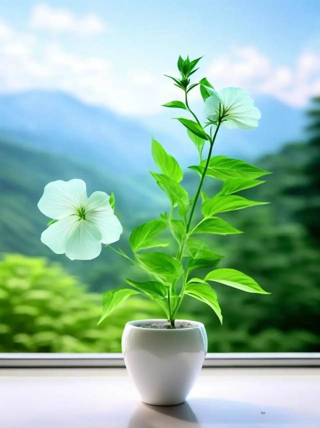litty294541's tweet photo. It's amazing how a 10-minute morning walk and a small potted plant on my desk have turned my rushed workdays into calm, little meaningful moments now. https://t.co/C9p8YAlRoC