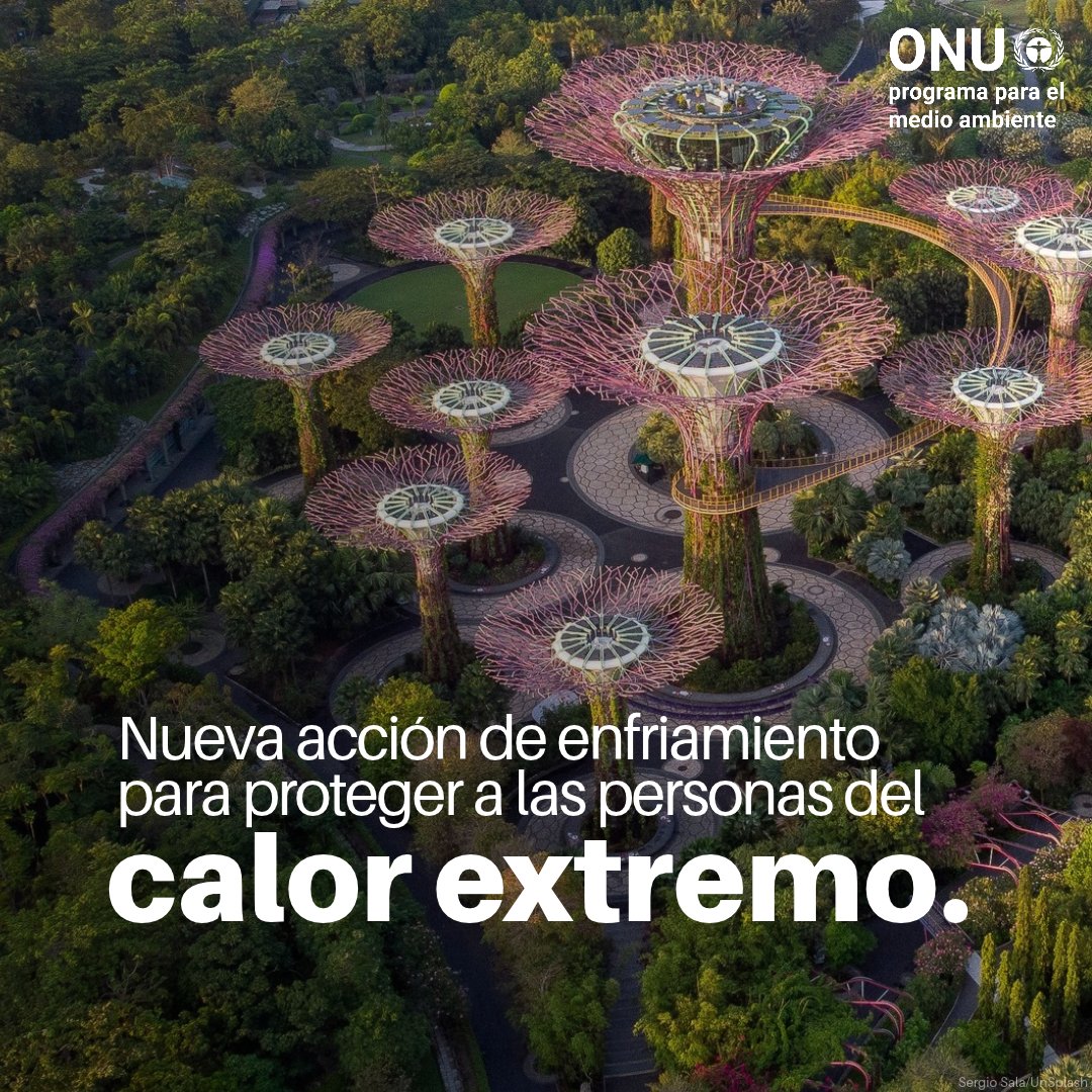 unep_espanol's tweet photo. Crece el calor extremo y la necesidad de soluciones de enfriamiento.

La Asamblea del Compromiso Mundial sobre el Enfriamiento en Singapur nombró un primer grupo de “Líderes del Enfriamiento”, con grandes retos y nuevos apoyos por delante.

Más, en inglés: https://t.co/MiTker77jC https://t.co/N4h8EQZqyU
