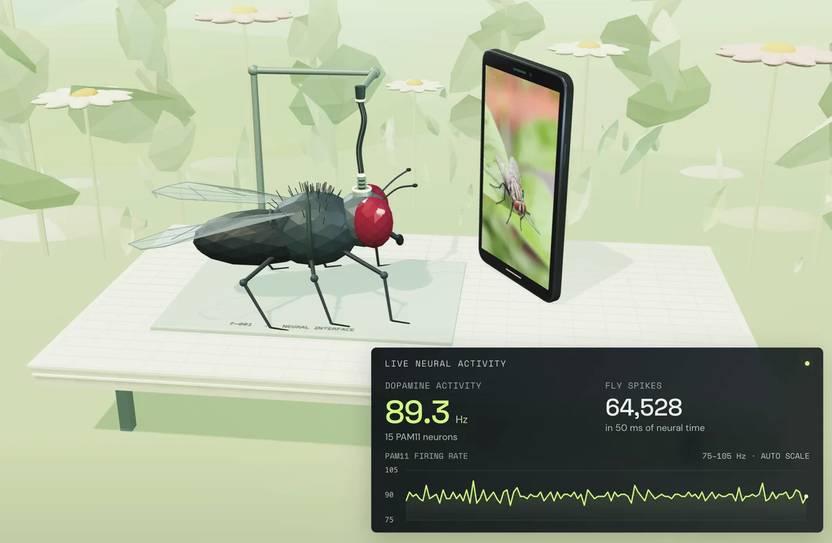 Screenshot of Fly / Wirehead