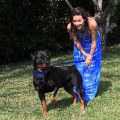 Kinkypawzk84r's tweet photo. I keep the real content away from here.
For a reason.
Link 🖇️ https://t.co/SYVFFht2gf

#dogs #K9 #USA https://t.co/2mdZPHwEiE