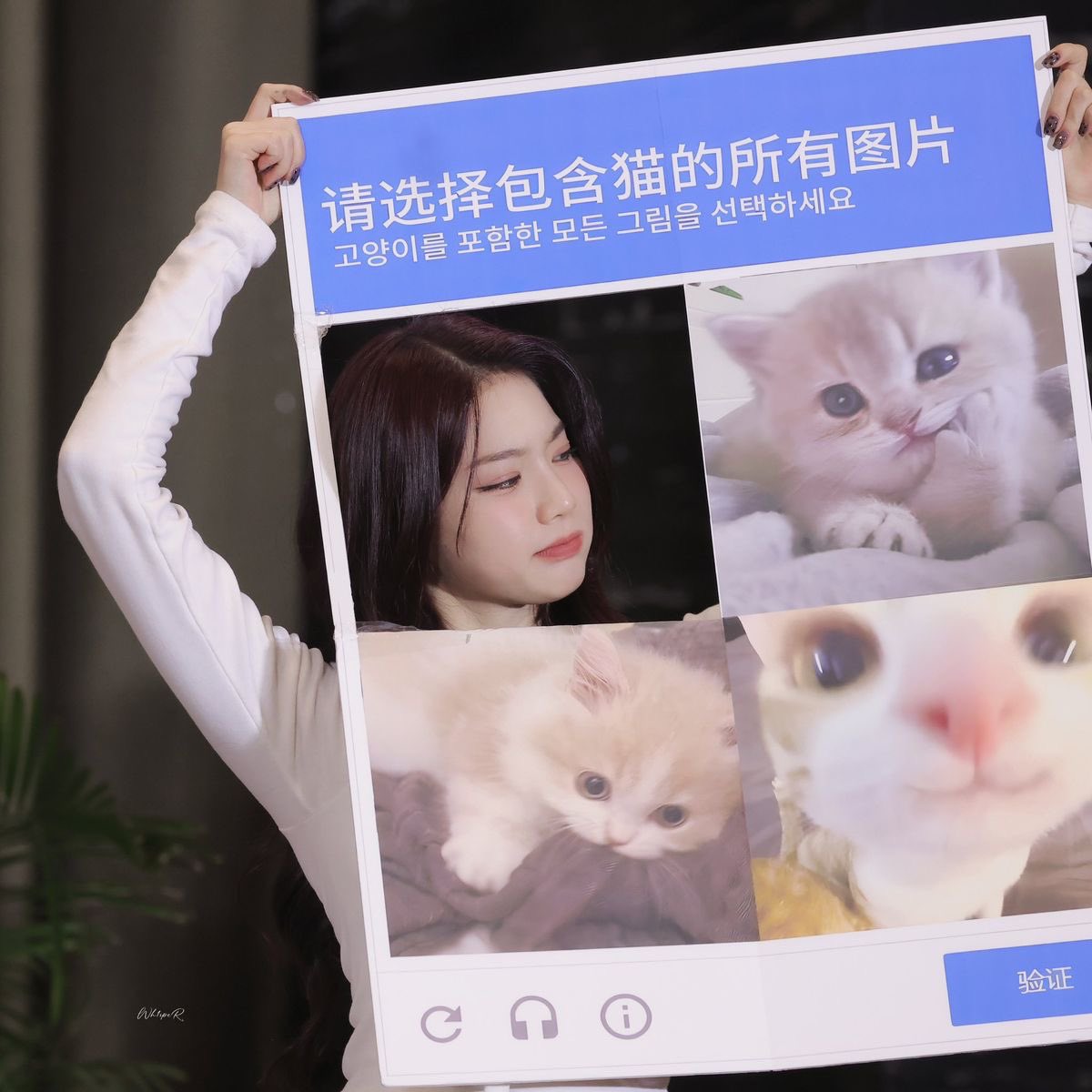 ISAslast's tweet photo. @WONYOUNGgoeson @HAECHANgoeson Saya sendiri 😹 https://t.co/yw3G3ZCS7E