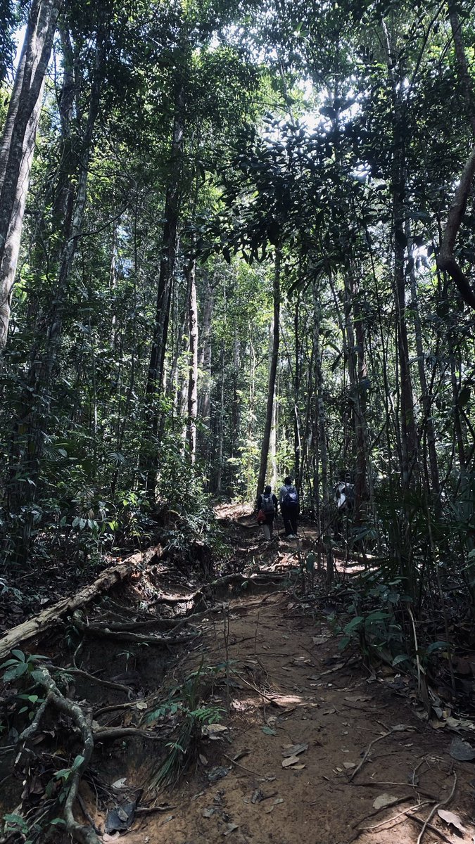 ilungaaart's tweet photo. reconnect with nature after whatever tf that was. https://t.co/SuRtWmFchK