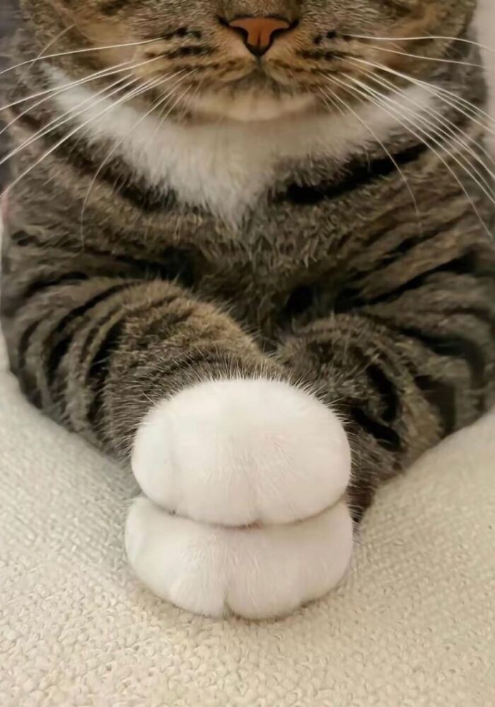 12Gerd's tweet photo. テストを通すまで仕事じゃない https://t.co/EmOD1Enuoa