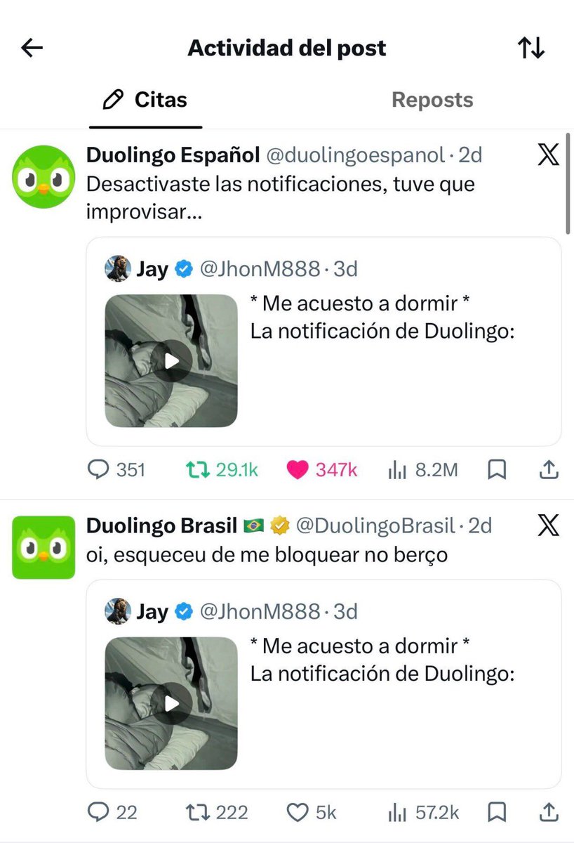 DuolingoBrasil tweet picture
