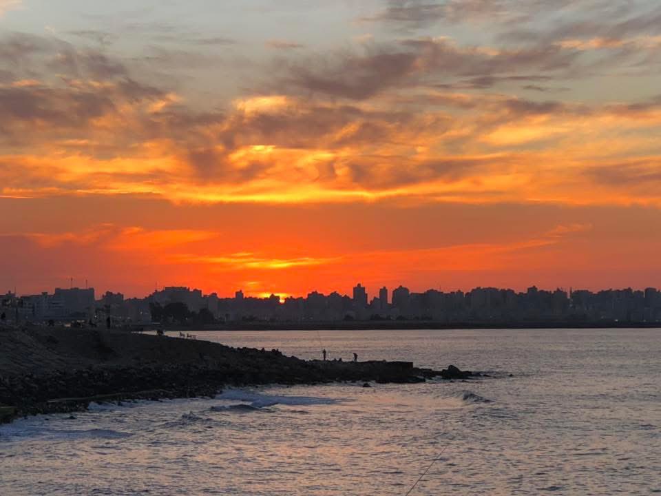 zeyadhasan12's tweet photo. colors of Alexandria https://t.co/1nhJ2RfP8S