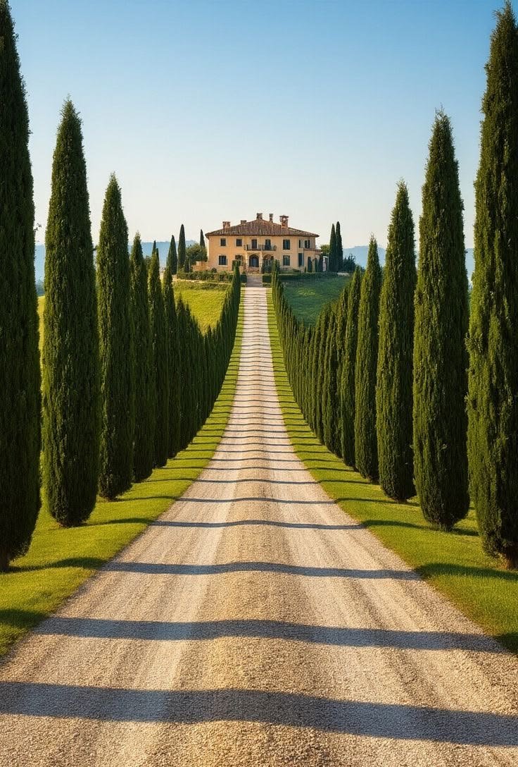 NaturalEye78321's tweet photo. 📍 Tuscany, Italy 🇮🇹 https://t.co/6kgPSHLzZG