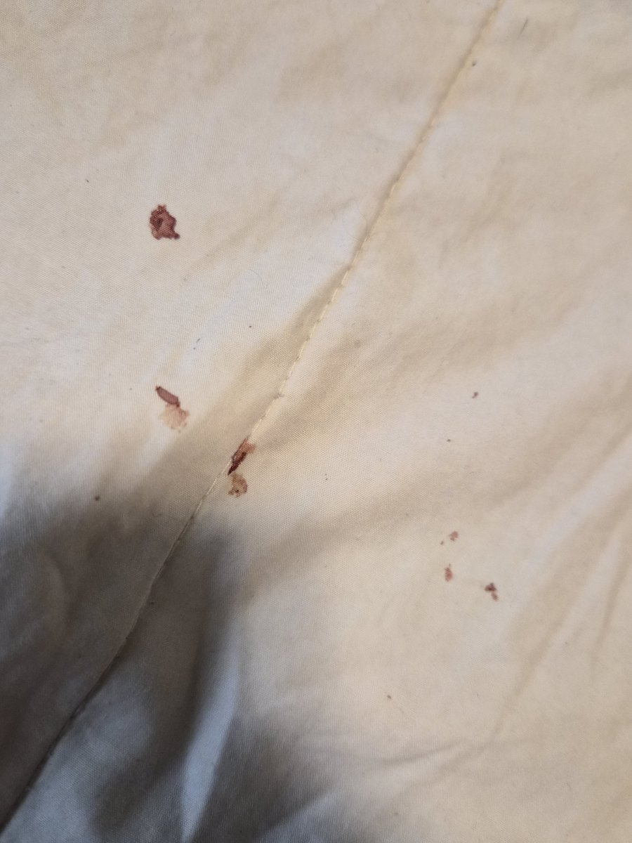 VoiidsDecay's tweet photo. omfg theres blood all over my bed https://t.co/mtg7b96E7J