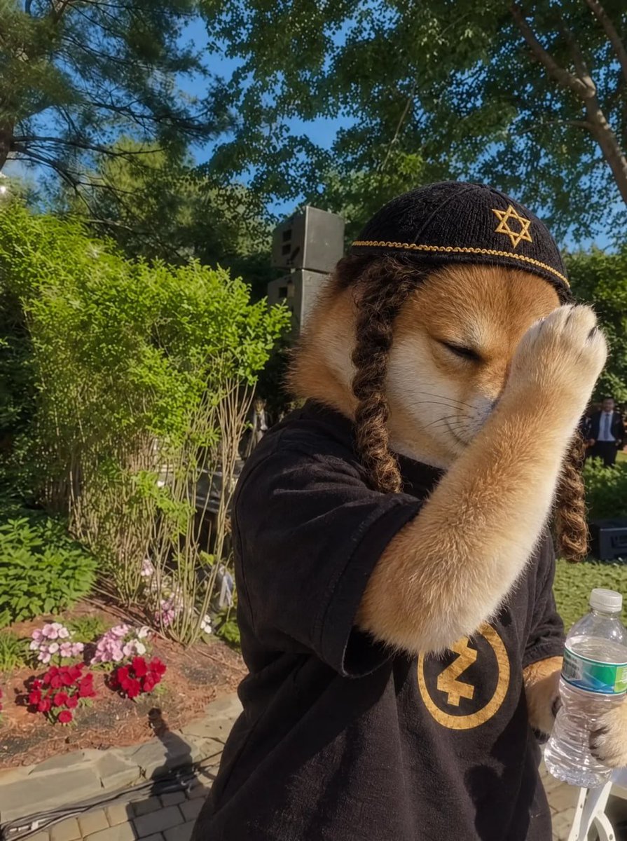 zinuzec's tweet photo. drip inu https://t.co/8MXunAA3aF
