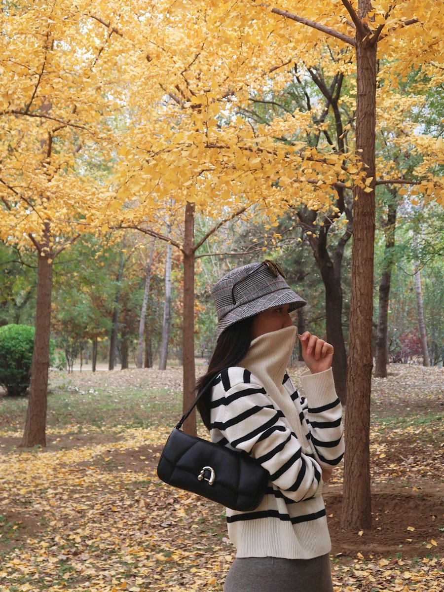 aelip970285's tweet photo. The first crisp autumn breeze blew in today—perfect for sipping hot tea and jumping into a pile of falling leaves! ， https://t.co/O7lfdgyGAm